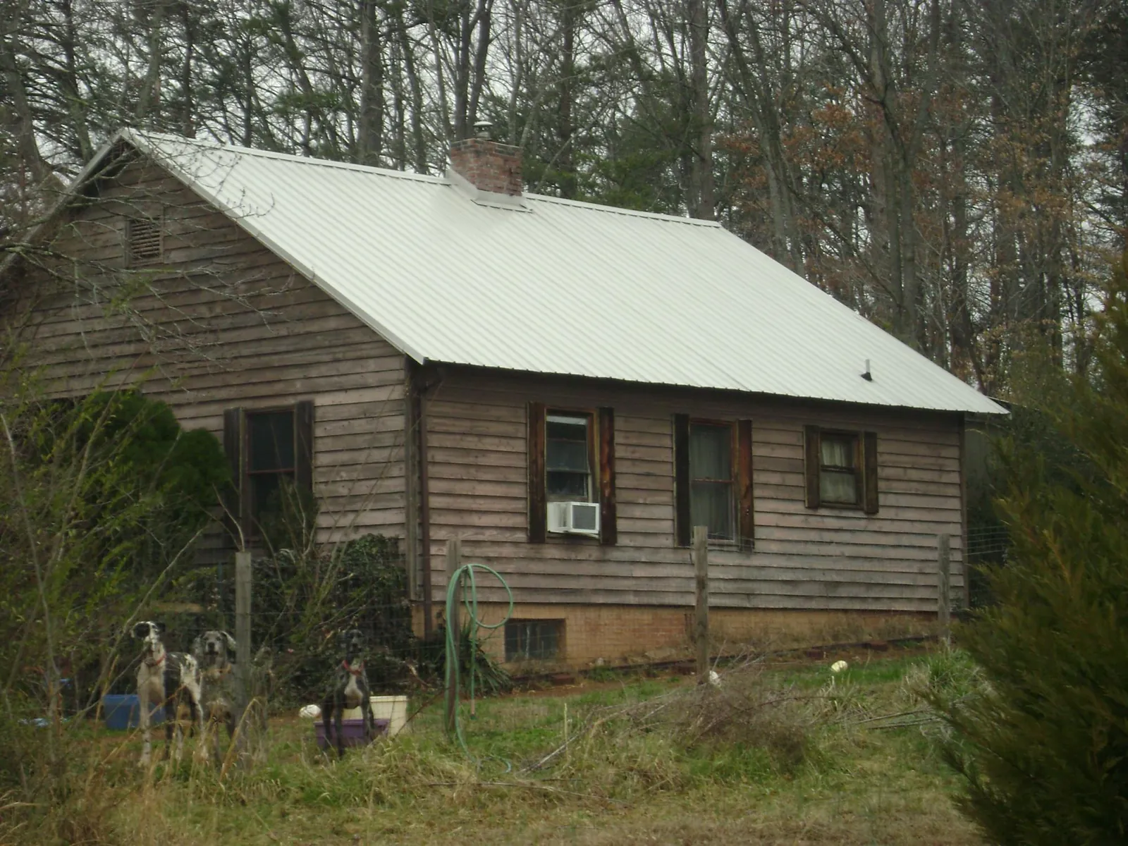 White metal roof on an old wood sided farmhouse, from a Asphalt Shingle Roof Repair job in Poncha Springs